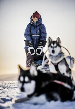 Hestra Sirius Polar Mitt -Hestra Sale Store 280 dd43b45d0c e1a7201 original