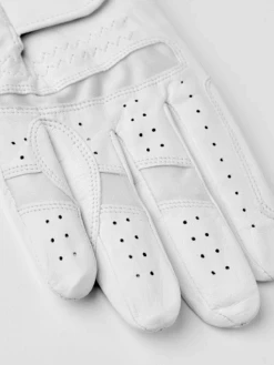 Hestra Leather Direct 5-finger -Hestra Sale Store 289 d25b877d3b 38850 000 3 original